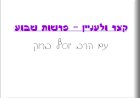 פרשת שמיני- הרב ברוק