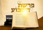 פרשת ויצא